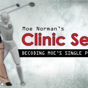 MN Clinic Series - Decoding Moe (Online Course)